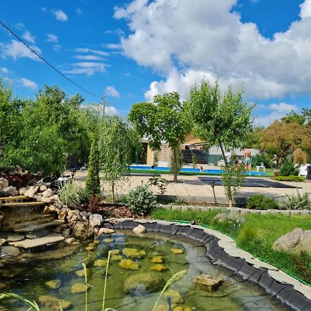 Casa Elis Piscina, Jacuzzy , Sauna, Ciubar Merei Exteriér fotografie