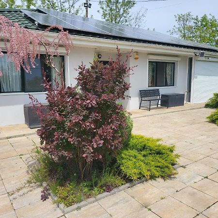 Casa Elis Piscina, Jacuzzy , Sauna, Ciubar Merei Exteriér fotografie