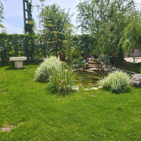 Casa Elis Piscina, Jacuzzy , Sauna, Ciubar Merei Exteriér fotografie