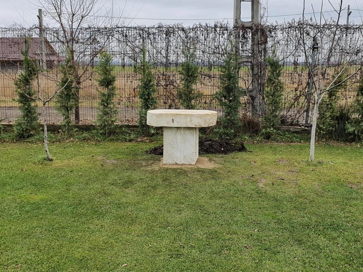 Casa Elis Piscina, Jacuzzy , Sauna, Ciubar Merei Exteriér fotografie