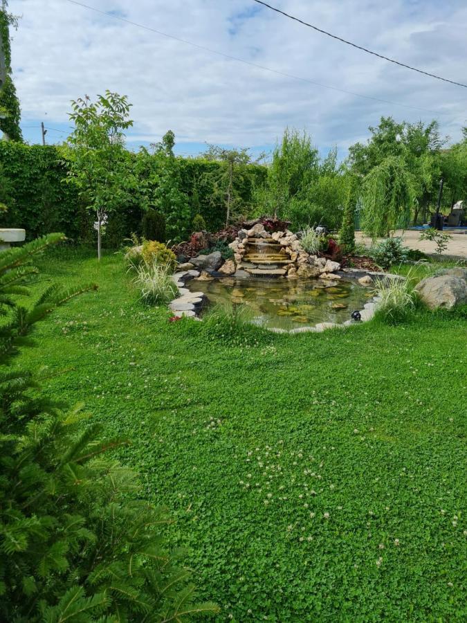Casa Elis Piscina, Jacuzzy , Sauna, Ciubar Merei Exteriér fotografie