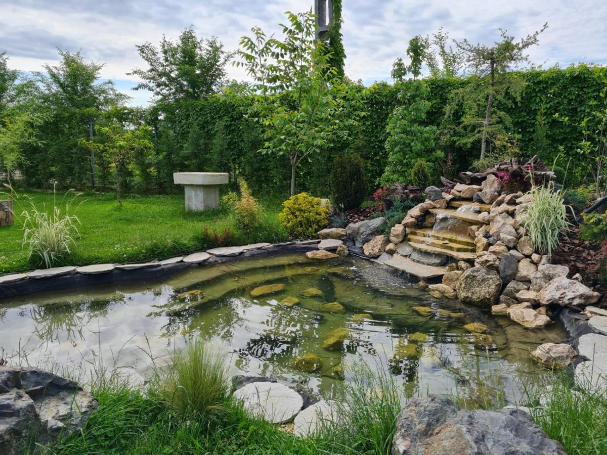 Casa Elis Piscina, Jacuzzy , Sauna, Ciubar Merei Exteriér fotografie