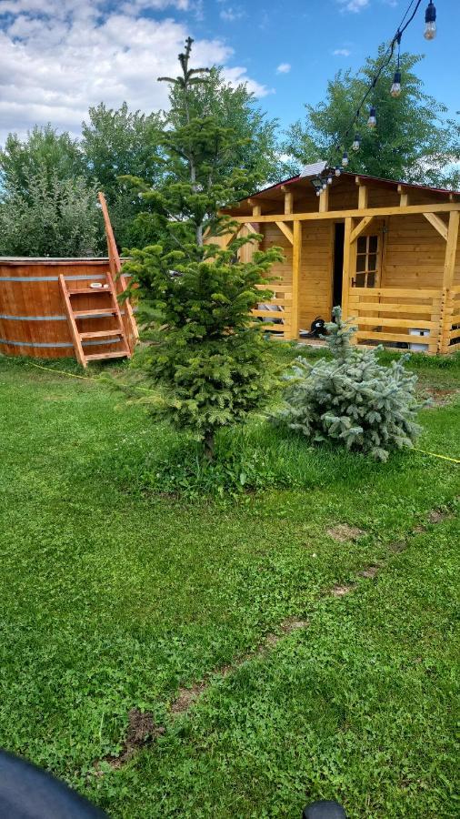 Casa Elis Piscina, Jacuzzy , Sauna, Ciubar Merei Exteriér fotografie