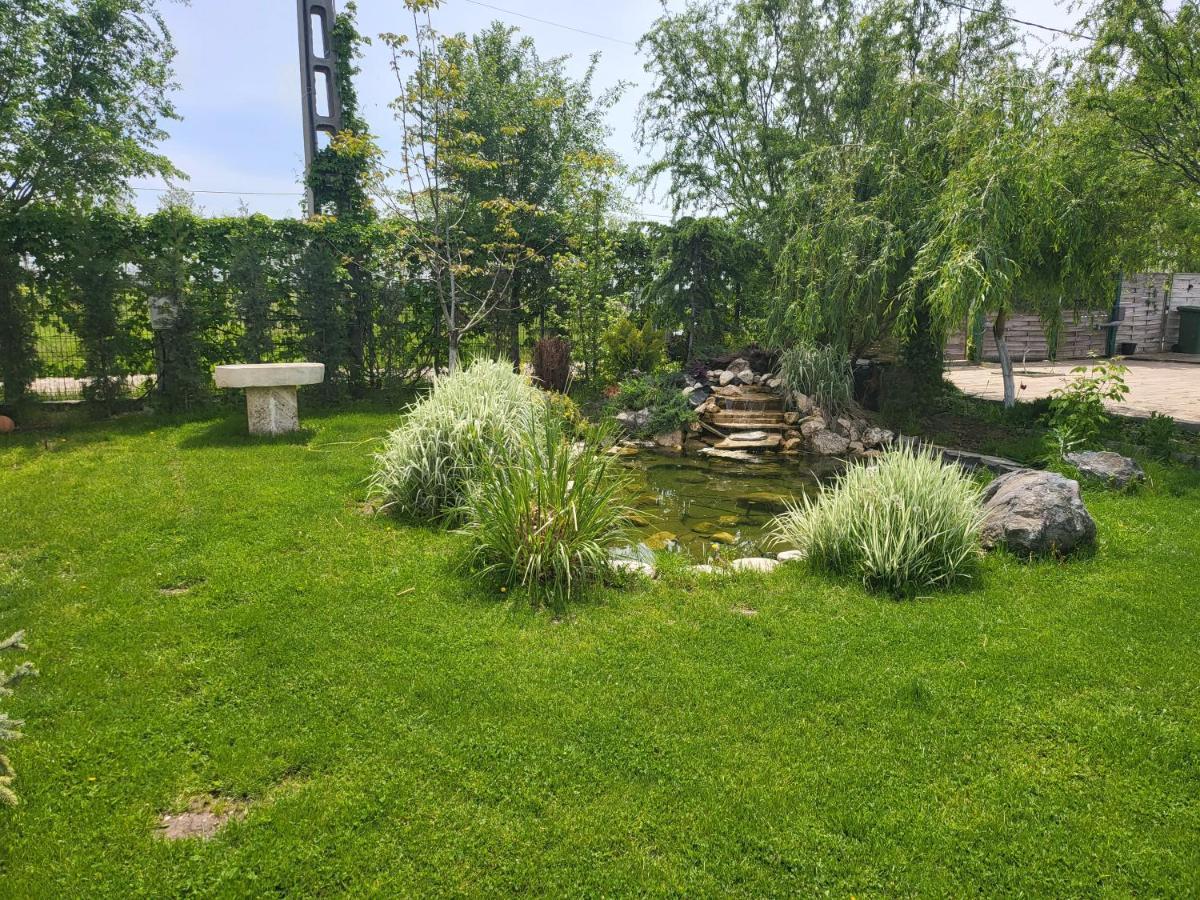 Casa Elis Piscina, Jacuzzy , Sauna, Ciubar Merei Exteriér fotografie